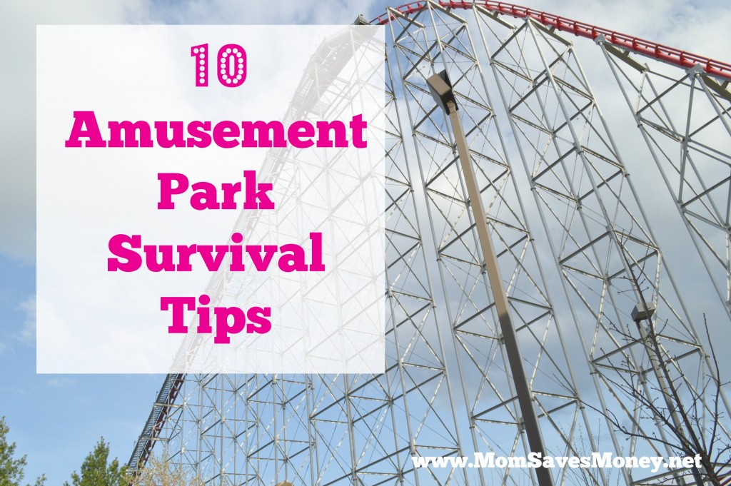 amusement park tips 2