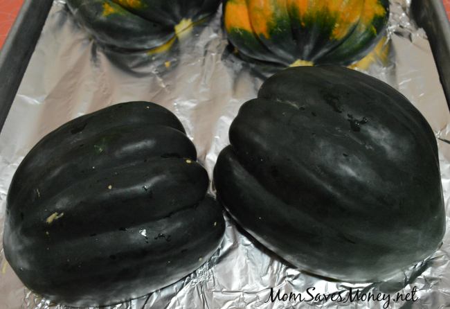 acorn squash cook