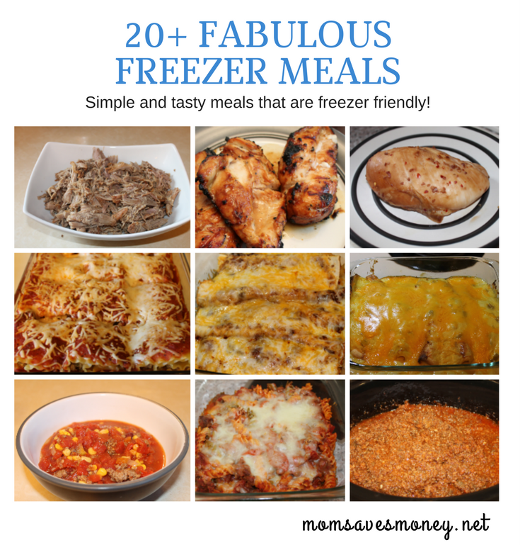 20+ Favorite Freezer Dinners! - Mom Saves Money