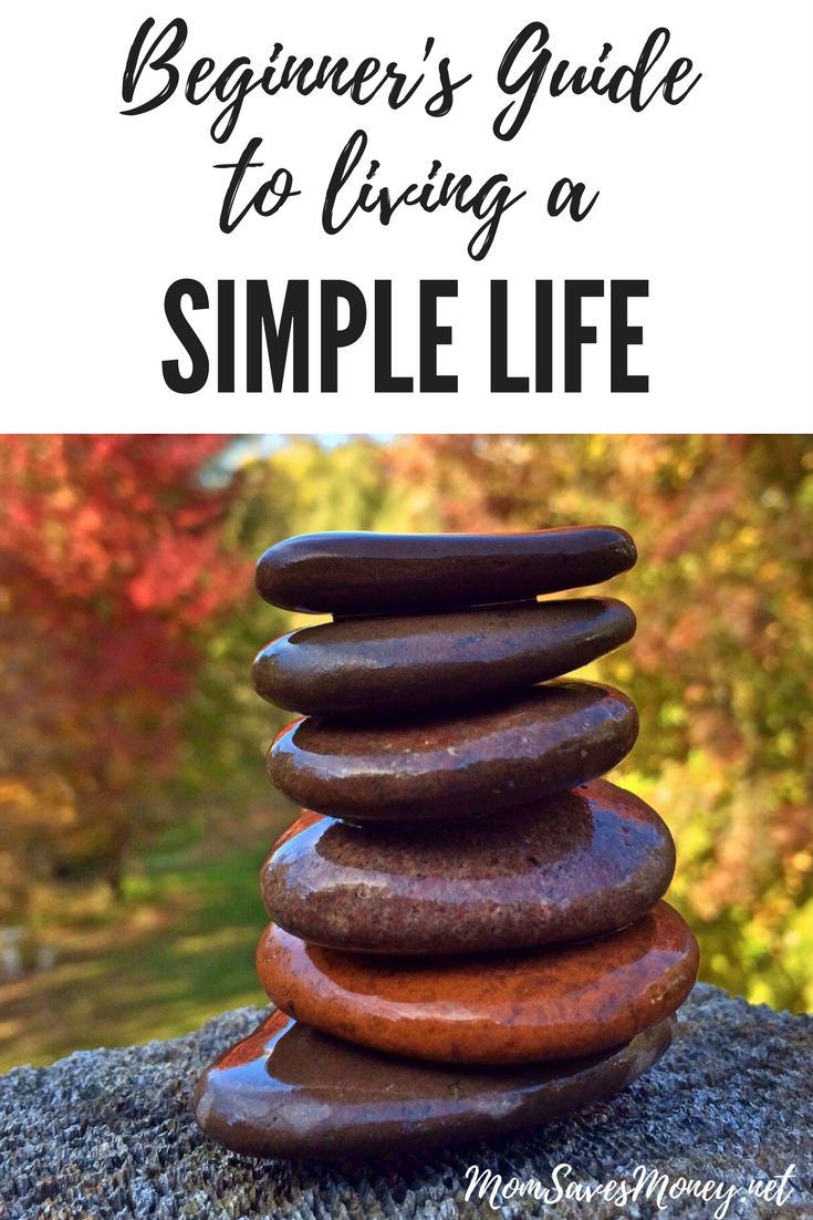 Beginner S Guide To Start Living A More Simple Life Mom