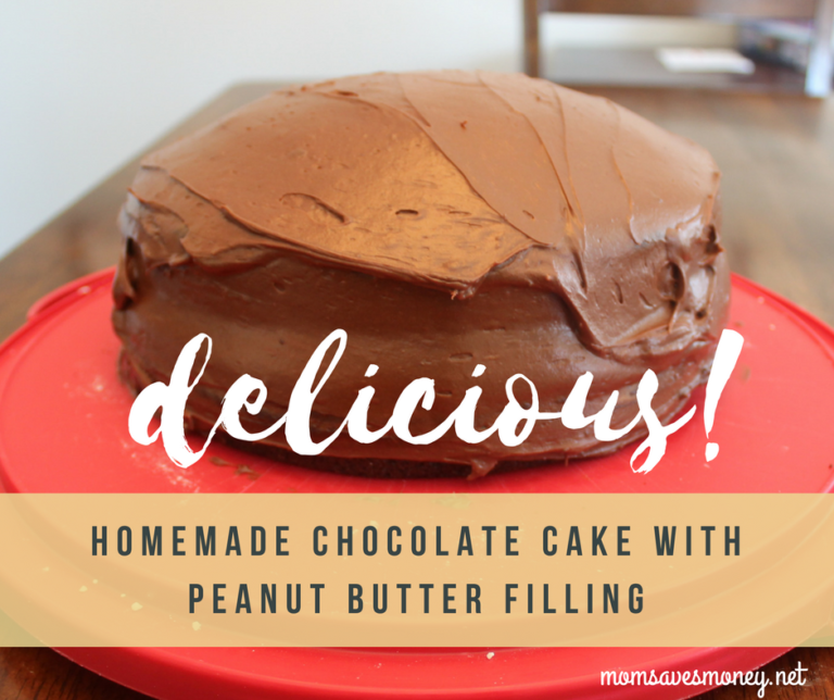 The Best Chocolate Cake with Peanut Butter Filling! - Mom Saves Money