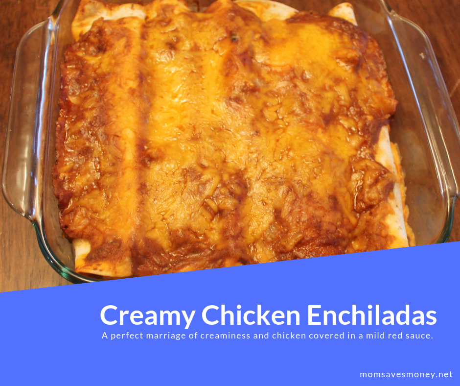 Creamy chicken enchiladas