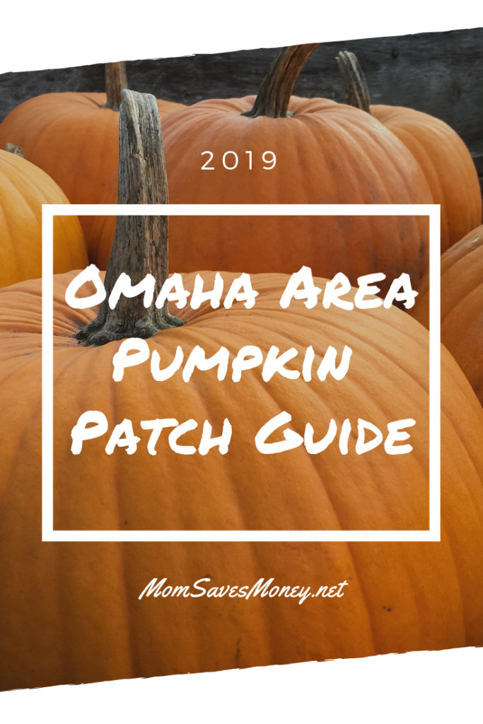 pumpkin background for omaha area pumpkin patch guide