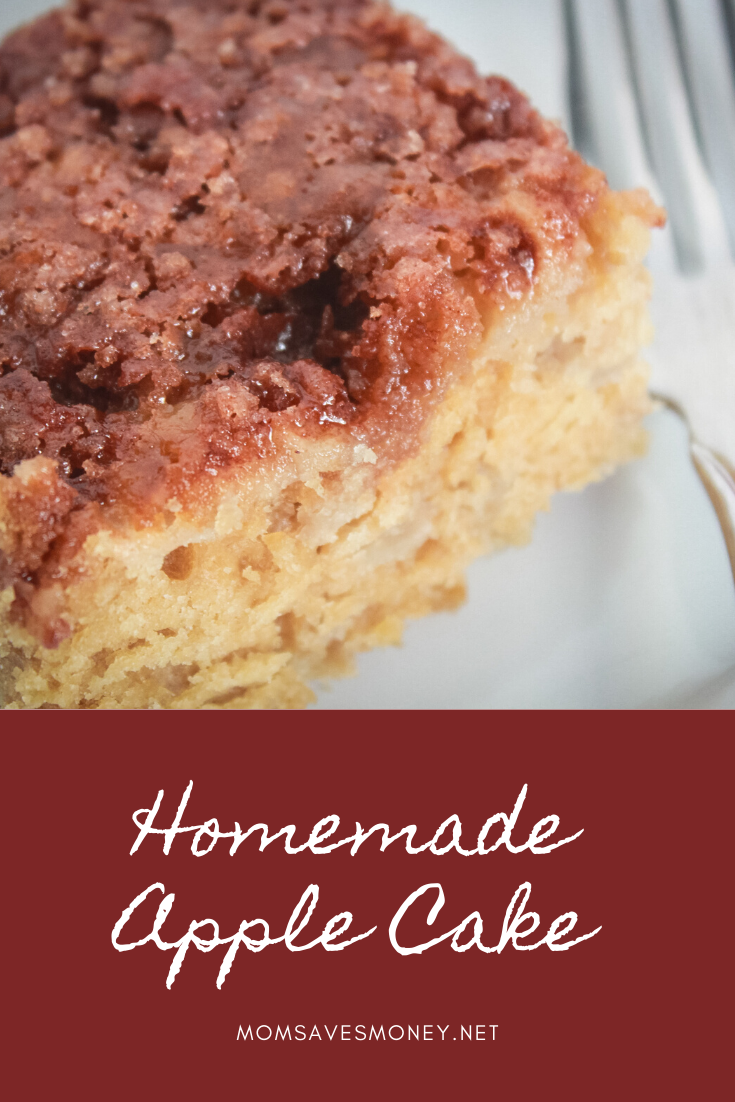 Homemade-Apple-Cake - Mom Saves Money