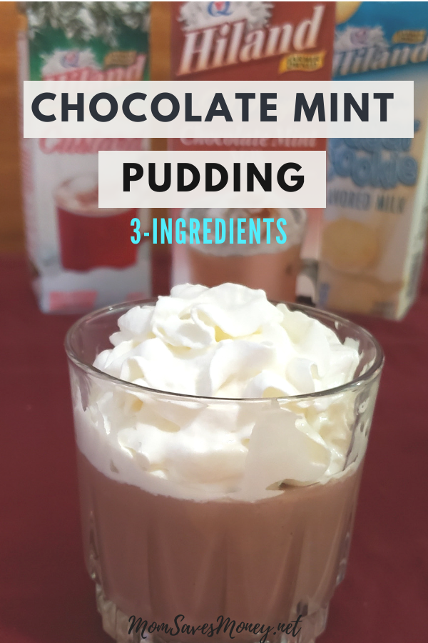 Chocolate mint pudding with whipped topping