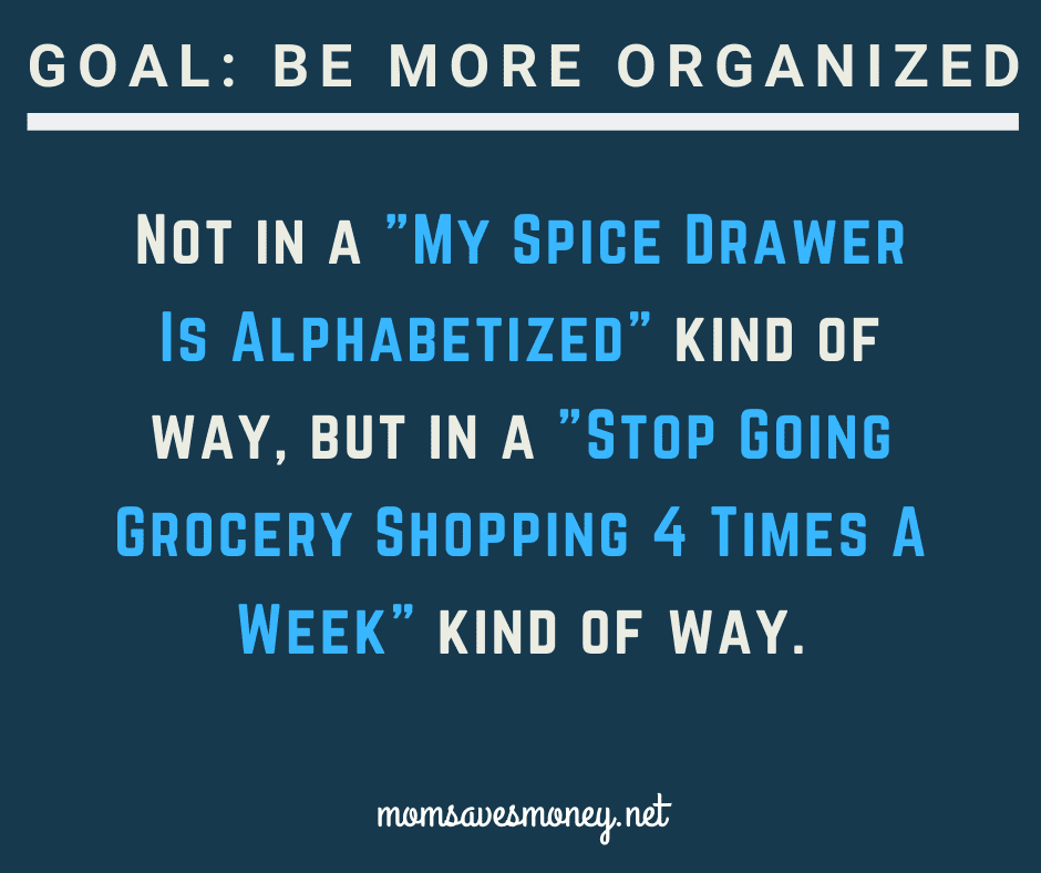 Goal: Be More organized. Not in a My spice drawer is alphabetized kind of way, but in a stop going grocery shopping 4 times a week kind of way. 