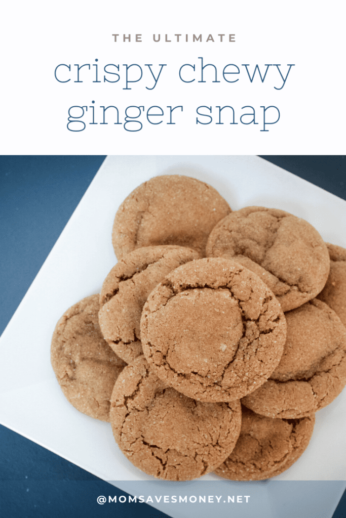 Ginger snap cookies on white plate 