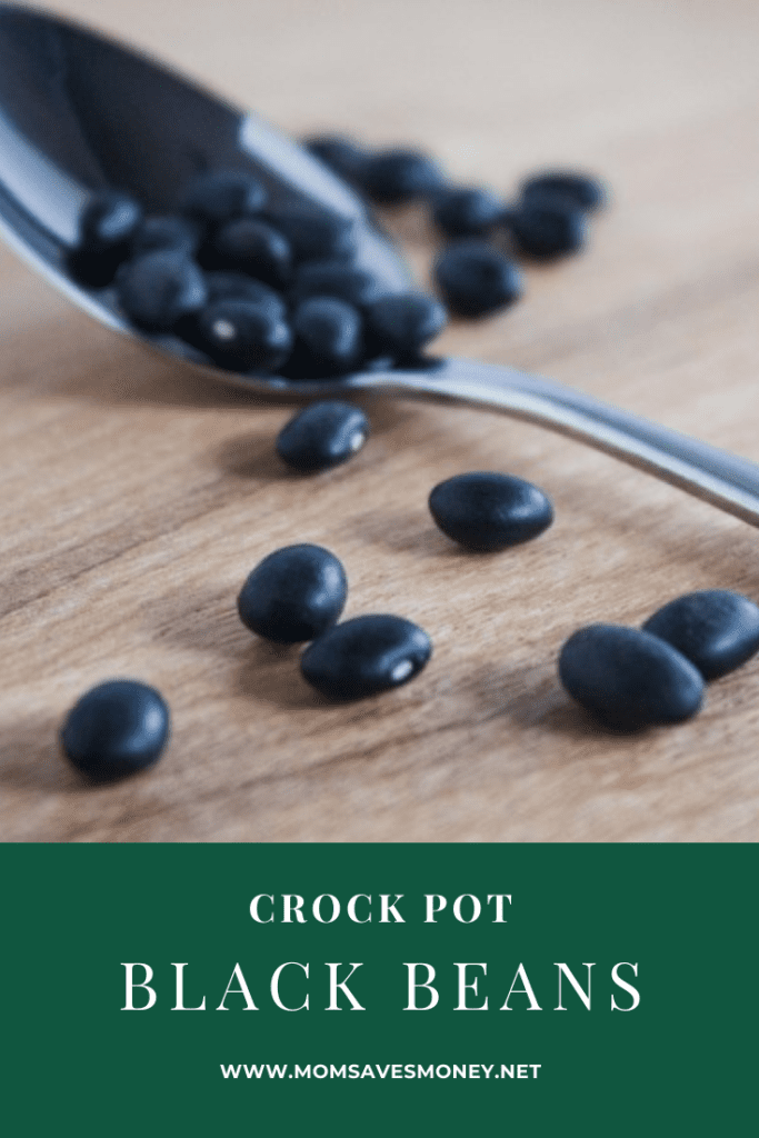 slow cooker black beans