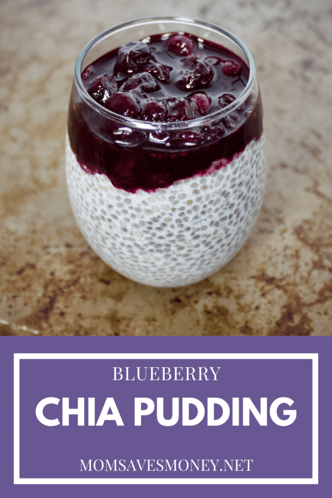 Blueberry chia pudding