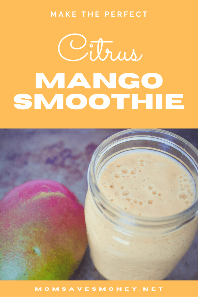 Citrus Mango Smoothie