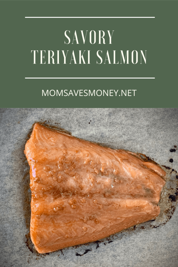 Savory teriyaki salmon
