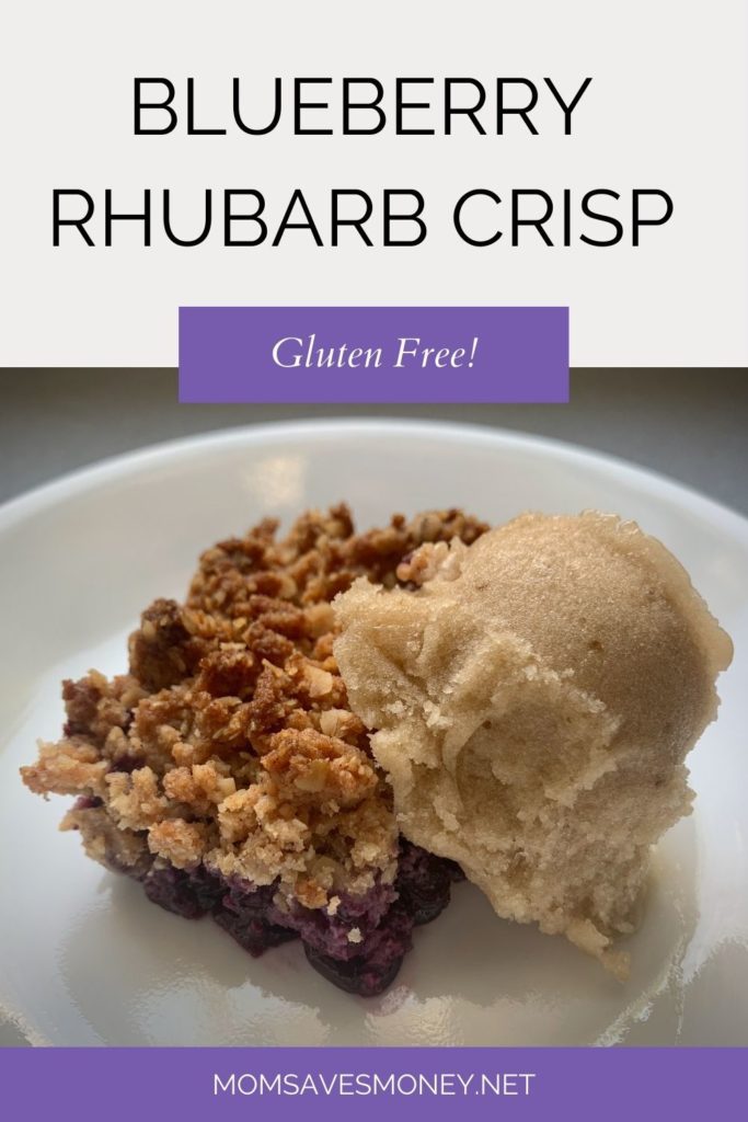 Blueberry Rhubarb crisp plated with vanilla ice cream