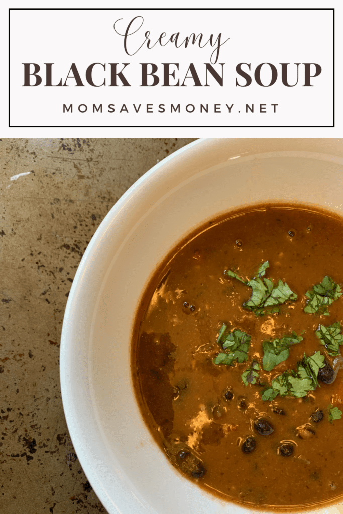 Creamy black bean soup in a white bowl